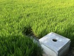 南財學(xué)子暑期三下鄉(xiāng)實踐活動：河暢水清岸綠景美