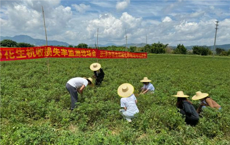 廣東羅定：大學(xué)生暑期實(shí)踐團(tuán)，齊心獻(xiàn)力鄉(xiāng)村振興建設(shè)