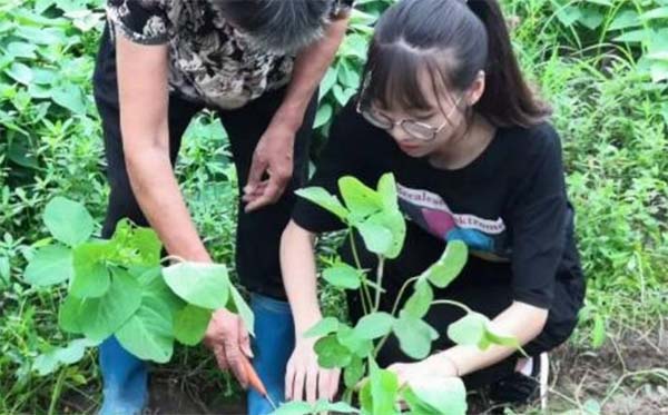 傳承基于文化，實踐探索未來——麗水學院實踐隊挖掘“創(chuàng)