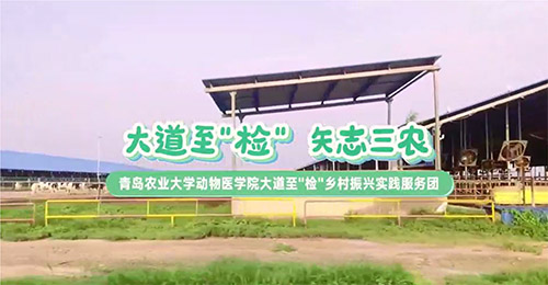 大道至簡(jiǎn)，三農(nóng)情牽：青島農(nóng)業(yè)大學(xué)動(dòng)物醫(yī)學(xué)院鄉(xiāng)村振興實(shí)踐服務(wù)團(tuán)走訪養(yǎng)殖天地