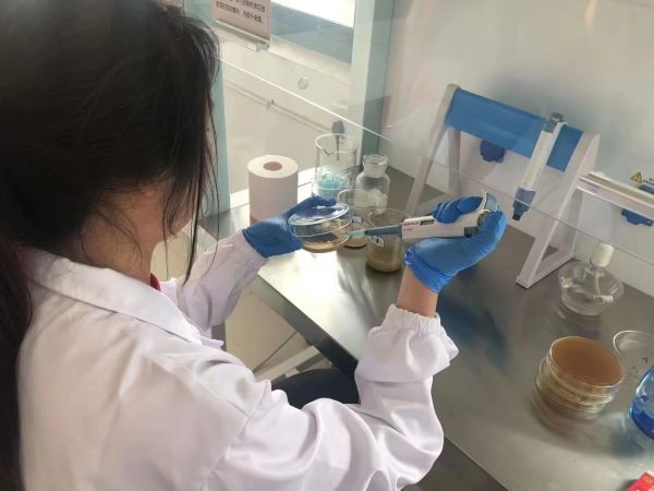 聚焦微生物技術，助力重金屬土壤修復
