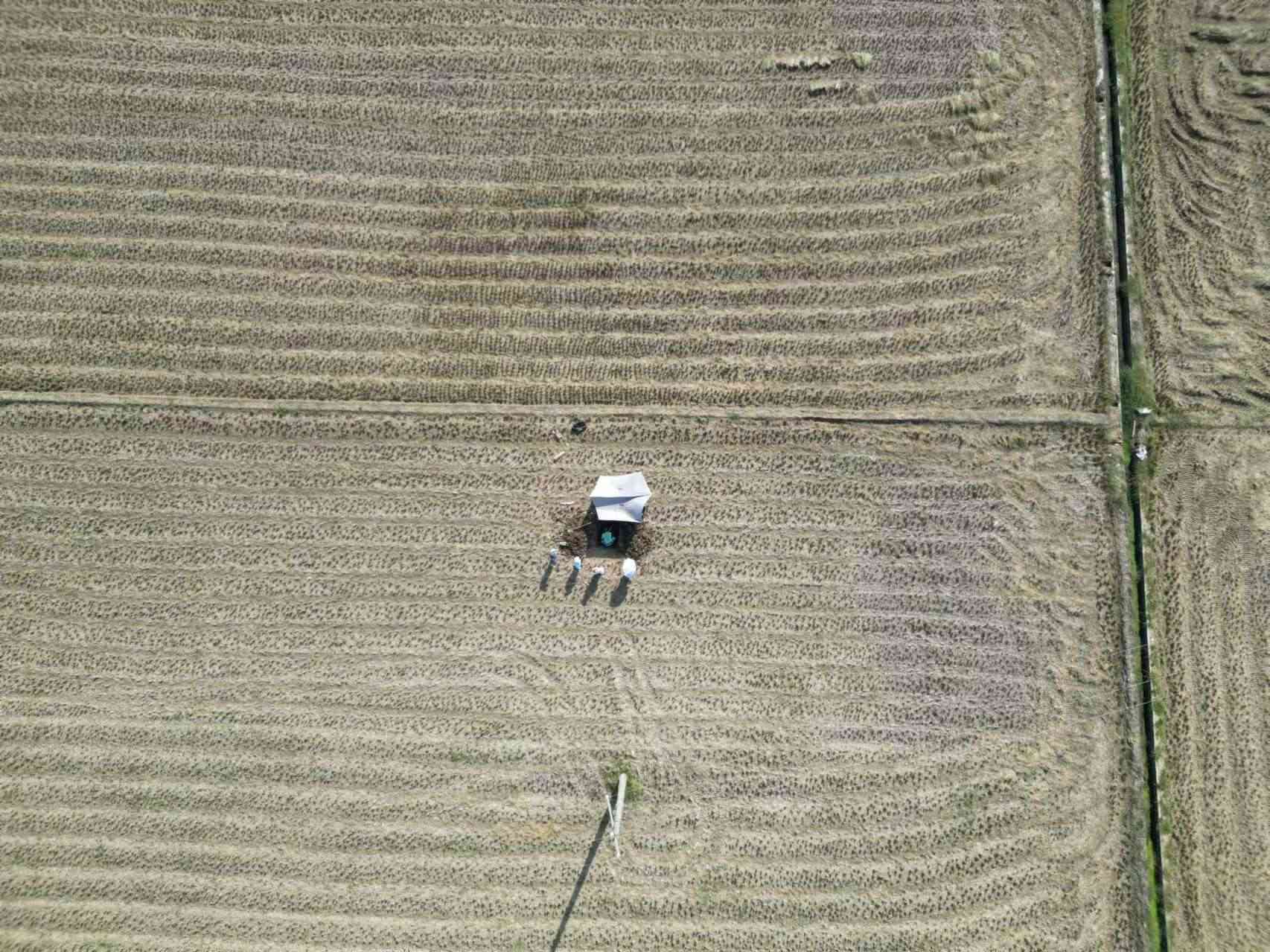 實地調(diào)研助力土壤質(zhì)量評估—華農(nóng)學(xué)子助力土壤三普