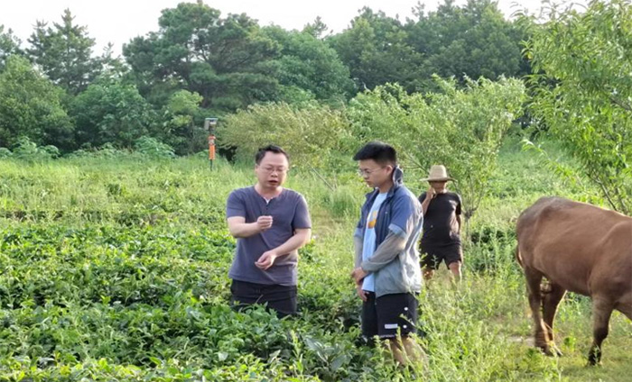 筆耕鄉(xiāng)土察民情，躬身入局謀振興
