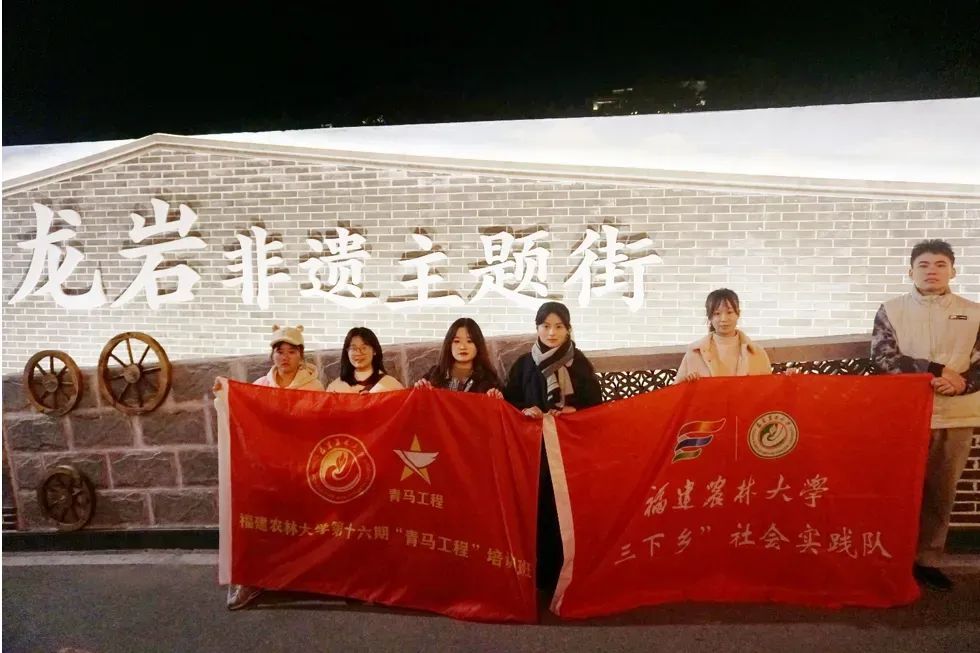 龍巖非遺文化展春節(jié)啟幕，青年學(xué)子助力文化傳承