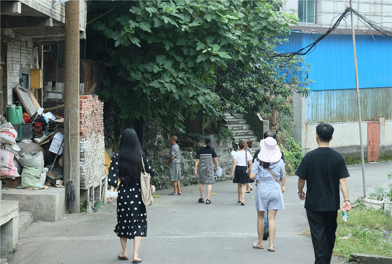 杉木樹下話振興，德田村頭繪新景——西財學子三下鄉(xiāng)調(diào)研紀實