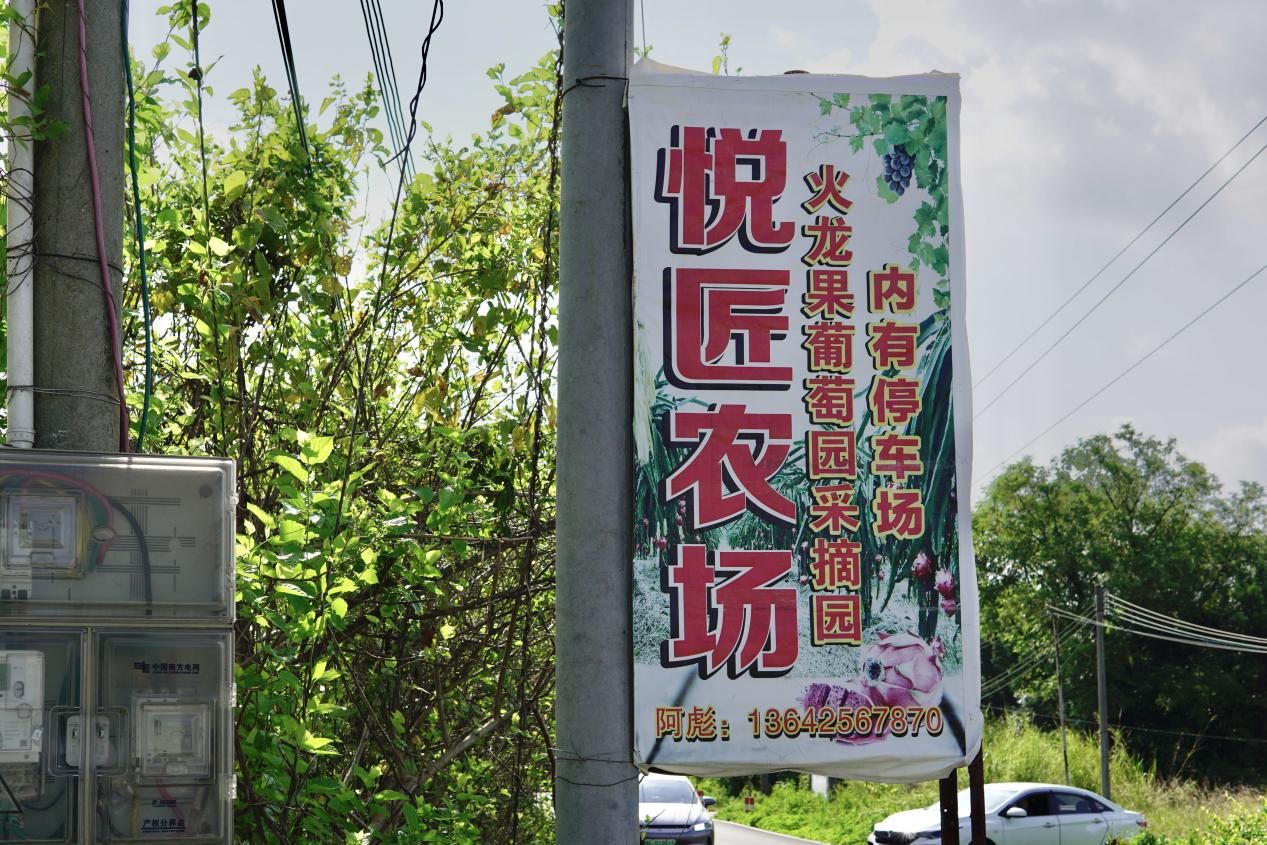 【百千萬(wàn)工程 助力鄉(xiāng)春】挖掘西河農(nóng)業(yè)特色，探尋產(chǎn)業(yè)發(fā)展脈絡(luò)