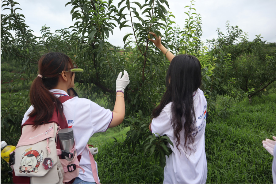 西南大學(xué)學(xué)子三下鄉(xiāng)：厚植愛農(nóng)情懷，勇?lián)鷷r代責(zé)任