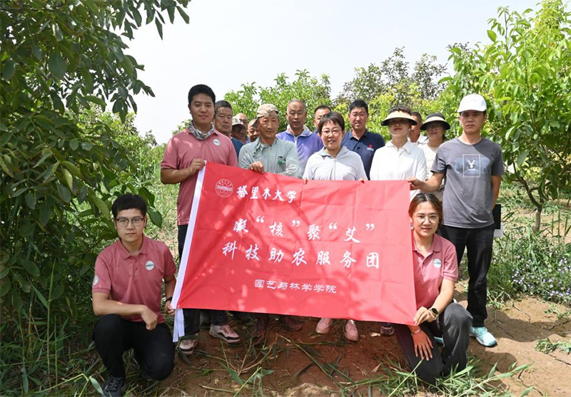 解決果農(nóng)問題，助力核桃產(chǎn)業(yè)