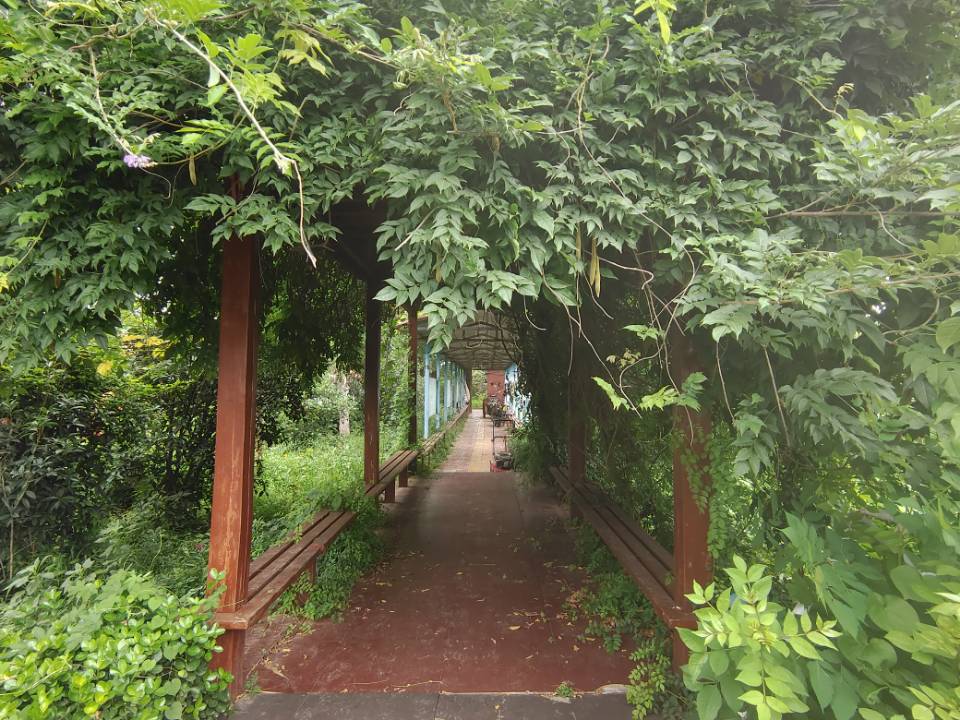 "青春的奉獻：李順雨同學(xué)暑期支教夢，點燃母校東方寄宿學(xué)校學(xué)子心"